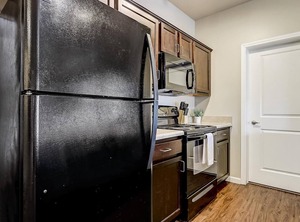 Notre Dame | Roseland