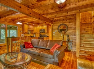 Gone Swimmin | Pigeon Forge