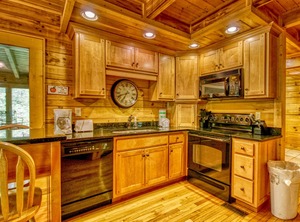 Gone Swimmin | Pigeon Forge