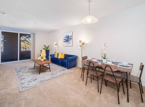 Jacuzzi | University City