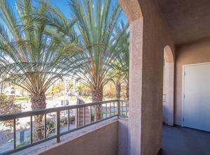 Jacuzzi | University City