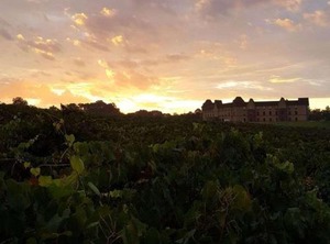 Hampton Inn | Braselton