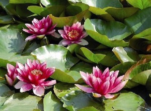 Herberge Bluecherhof | Muritz