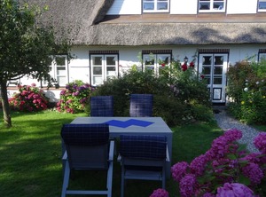 Holiday Pommer | Pommerby