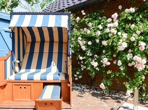 Holiday Borgsum | Borgsum