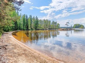 Metsätähti | Konnevesi