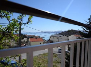 Holiday Children | Cesarica