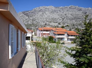 Holiday Children | Cesarica