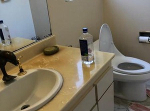 Hollywood | Hollywood Hills West