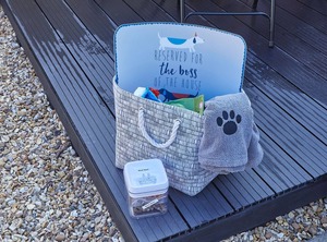 Pearl | Saltburn-by-the-Sea