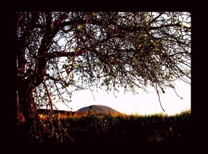 Hotel Magnolia Roudnice | Roundnice nad Labem