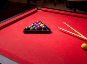 Ibis | Jardim Piemonte