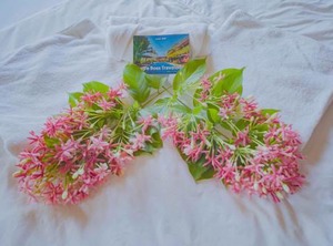 Sy Homestay | Son Trach