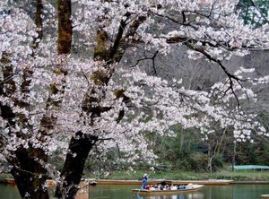 Kajiyabekkan Ramakkoro Yamaneko | Ichinoseki