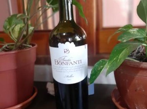 Posada De Karmel | Maipu