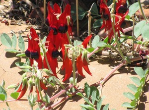 Kathys Place Breakfast | East Side