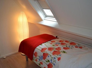 Klaproosje Aan Zee | Zoutelande