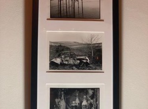 Negra | Montesquieu-Lauragais