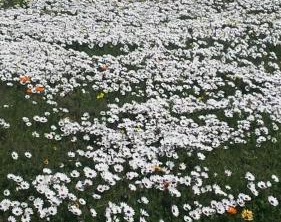 Paradise Beach | Paradise Beach