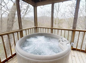 Bear | Gatlinburg - Pigeon Forge