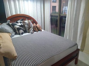 Loft Sahy Mangaratiba | Sahy