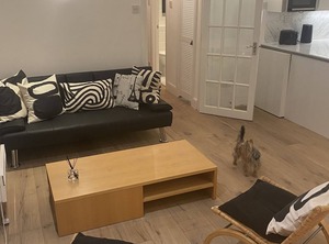 Park | Knightsbridge and Belgravia