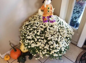 Mainstay Inn | Phoenixville