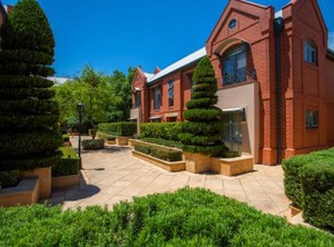 Lion | North Adelaide