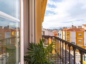 Málaga | El Ejido