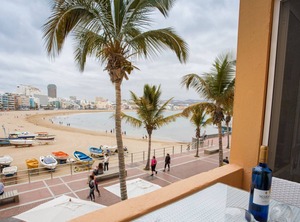 Mariposa Blanca | Las Palmas de Gran Canaria