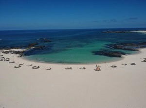 Marfolín | Los Lagos