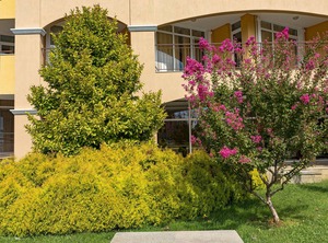 Midia Grand Resort | Aheloy