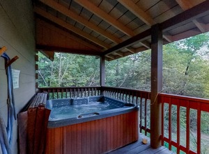 Cuddle | Gatlinburg - Pigeon Forge