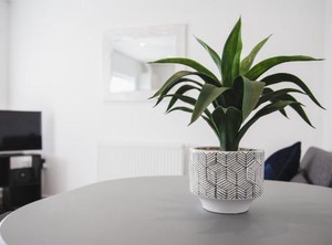 Pontact The Heart Of Didcot | Didcot