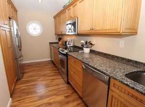 Sandfiddler | Carolina Dunes