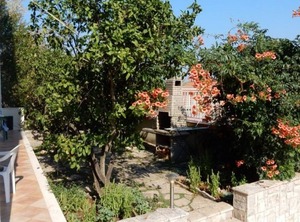 Terrace Lovište Pelješac | Loviste