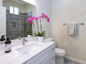 Modern Sj Sharks | Horace Mann