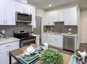 Modern Sj Sharks | Horace Mann