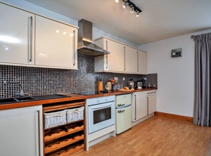 Oystercatcher | West Cliff