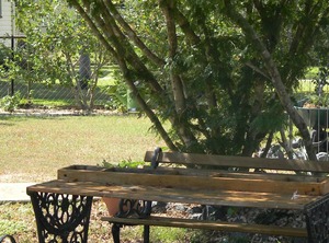 Cottage | Currajong