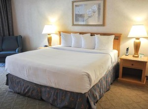 Inn Airport | Raisin