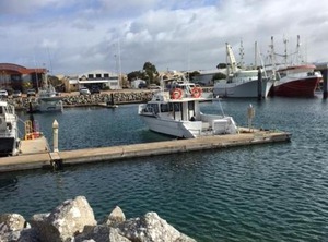 The Shark | Port Lincoln