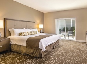 Windsor Sn | Windsor