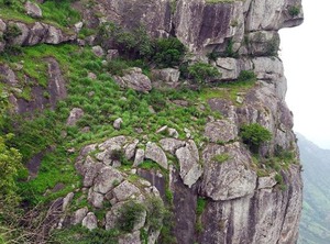 Punarjani Resorts | Ramakkalmedu