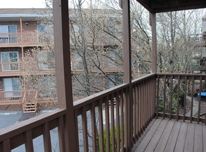 Sea Watch Ocean City | Caine Woods