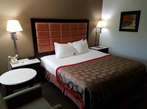 Ramada | Temple Terrace