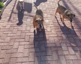 Ramsgate Palms | Ramsgate South