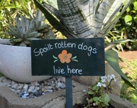 Ramsgate Palms | Ramsgate South