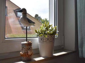 Resi | Ostseebad Prerow