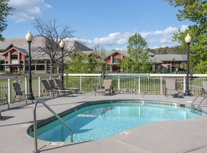 Bear Crossing | Pigeon Forge